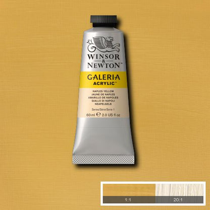 Winsor & Newton Galeria Acrylic Paints 60ml