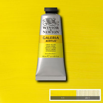 Winsor & Newton Galeria Acrylic Paints 60ml