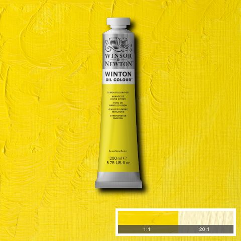 Winsor & Newton Winton Oil Paints 200ml