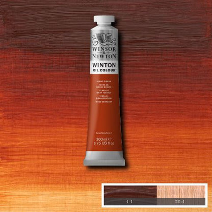 Winsor & Newton Winton Oil Paints 200ml