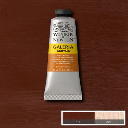 Winsor & Newton Galeria Acrylic Paints 60ml