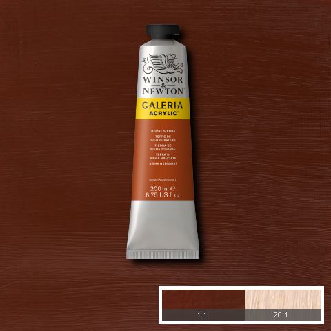 Winsor & Newton Galeria Acrylic Paints 200ml