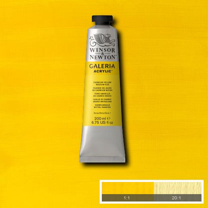 Winsor & Newton Galeria Acrylic Paints 200ml