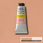 Winsor & Newton Galeria Acrylic Paints 60ml