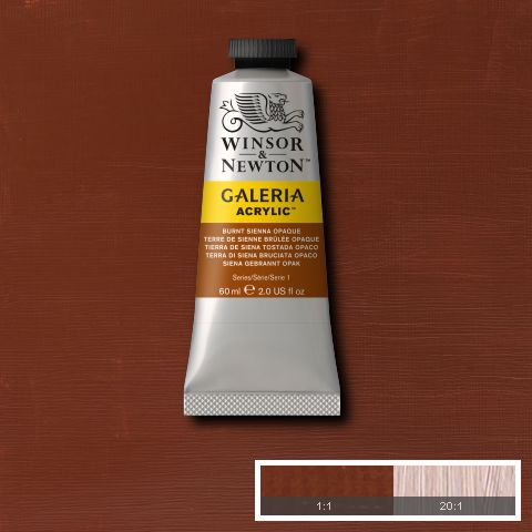 Winsor & Newton Galeria Acrylic Paints 60ml