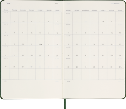 Moleskine 12 Month Daily HC Large Diaries
