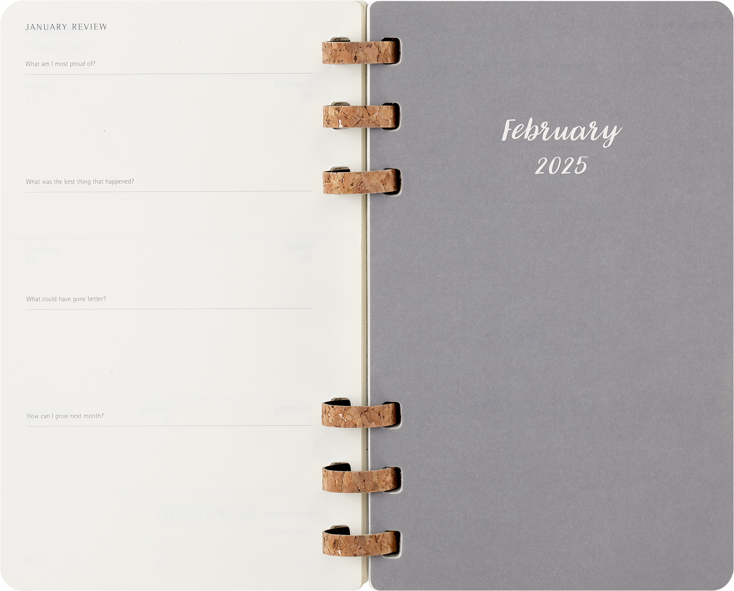 Moleskine 12 Month Spiral SC Large Black Planner