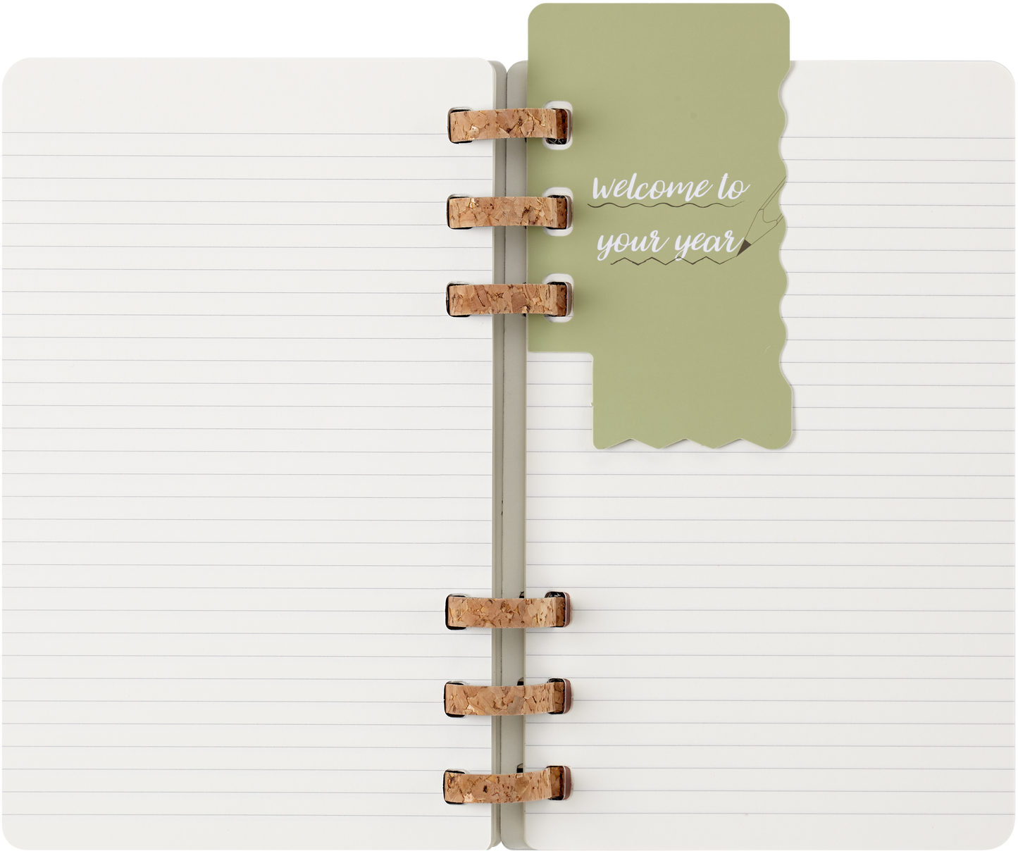 Moleskine 12 Month Spiral SC Large Black Planner