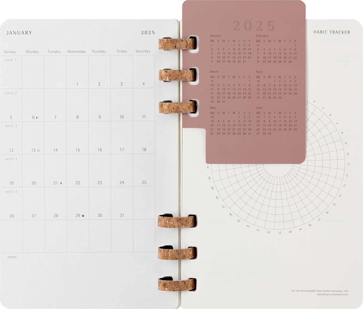 Moleskine 12 Month Spiral SC Large Black Planner