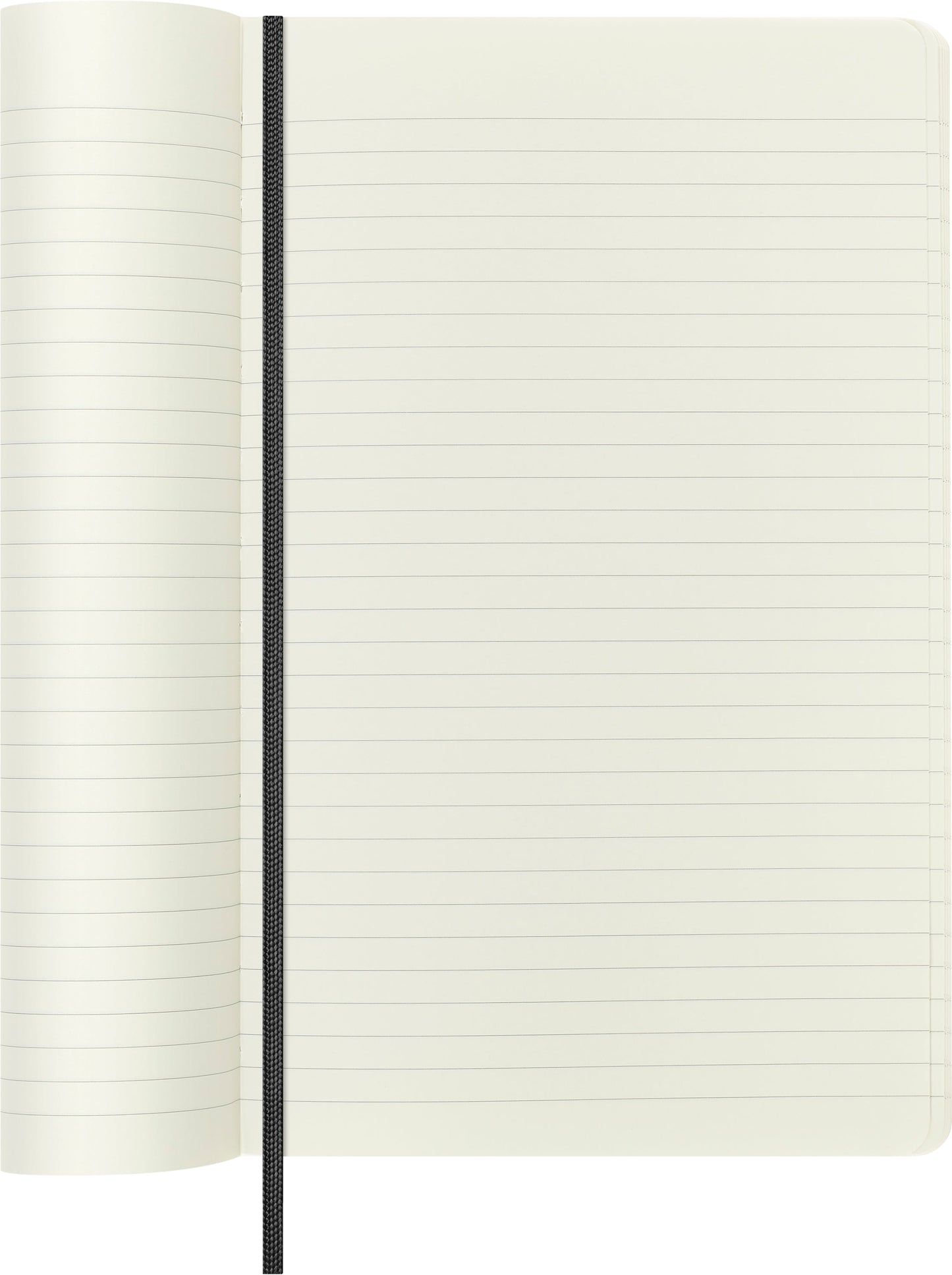 Moleskine 12 Month Weekly + Notes HC Large Precious + Ethical Boa Diaries
