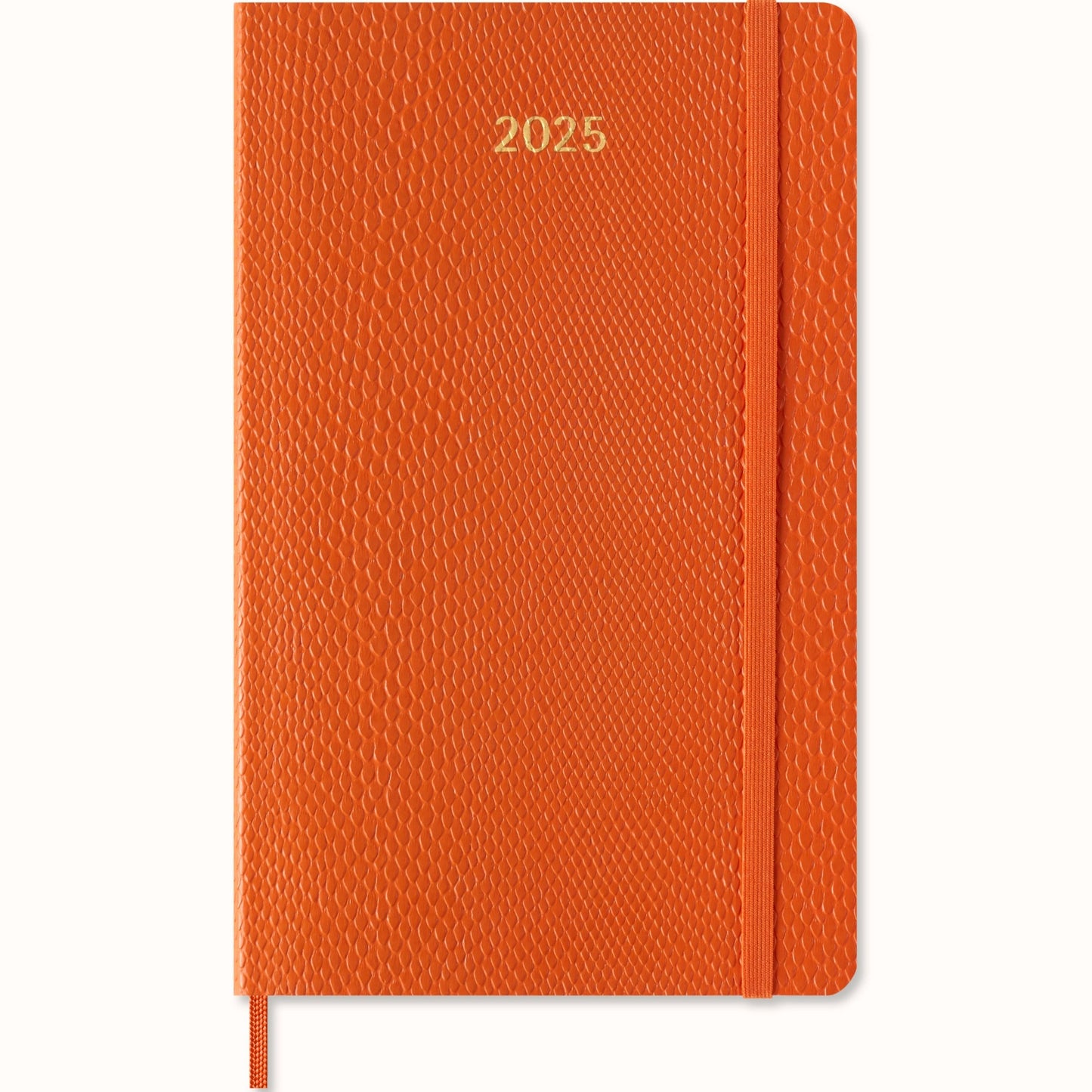 Moleskine 12 Month Weekly + Notes HC Large Precious + Ethical Boa Diaries