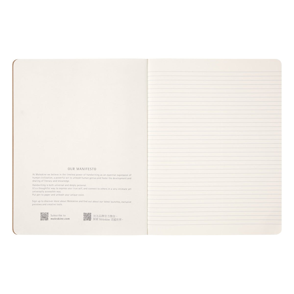 Moleskine LE Harry Potter Cahier XL Wingardium Notebook