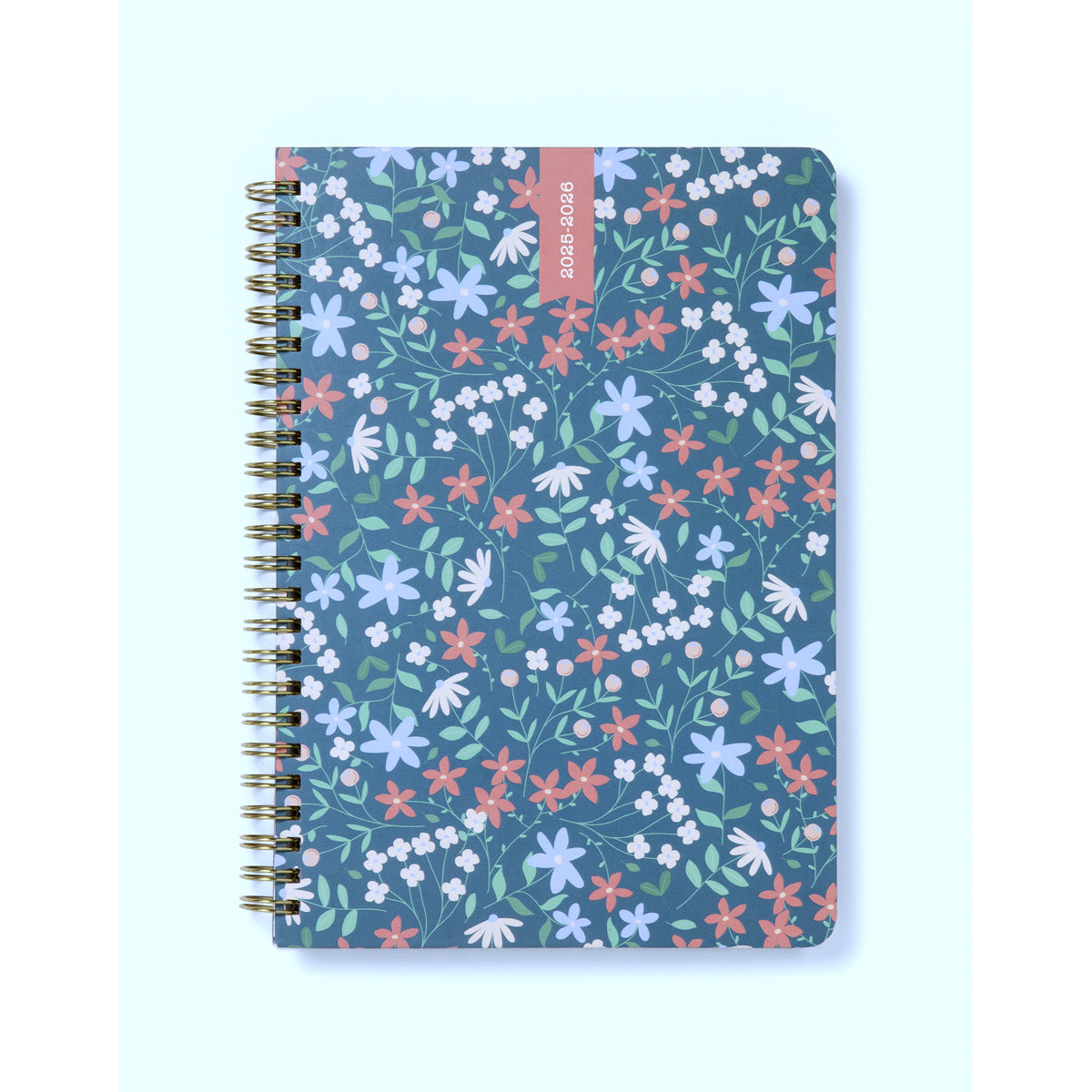 Letts Diary Mid Year A5 Week to View Spring Valley Green 18 Month 2025/26