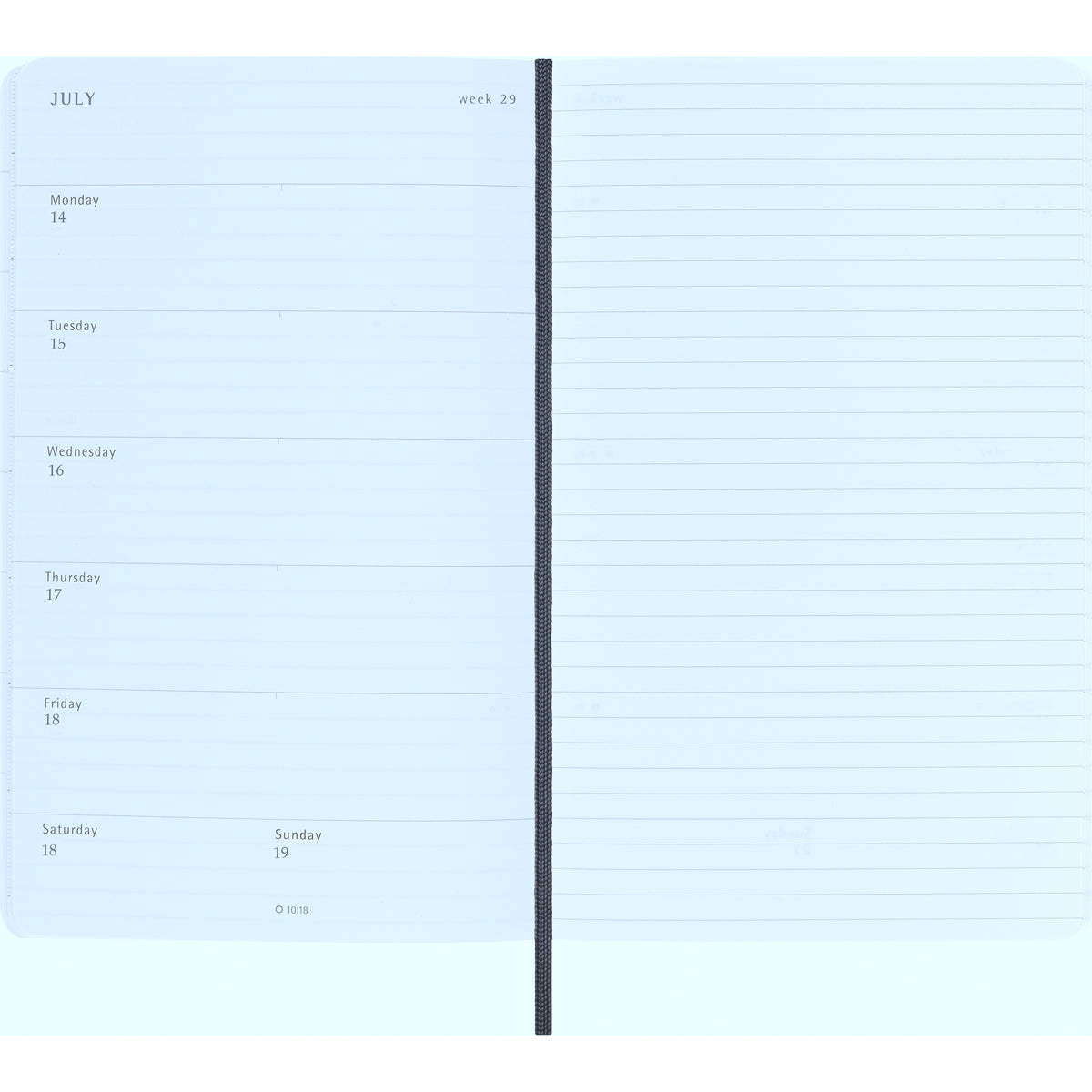 Moleskine Diary 18 Month Weekly + Notes Soft Cover Large Black 2025/2026
