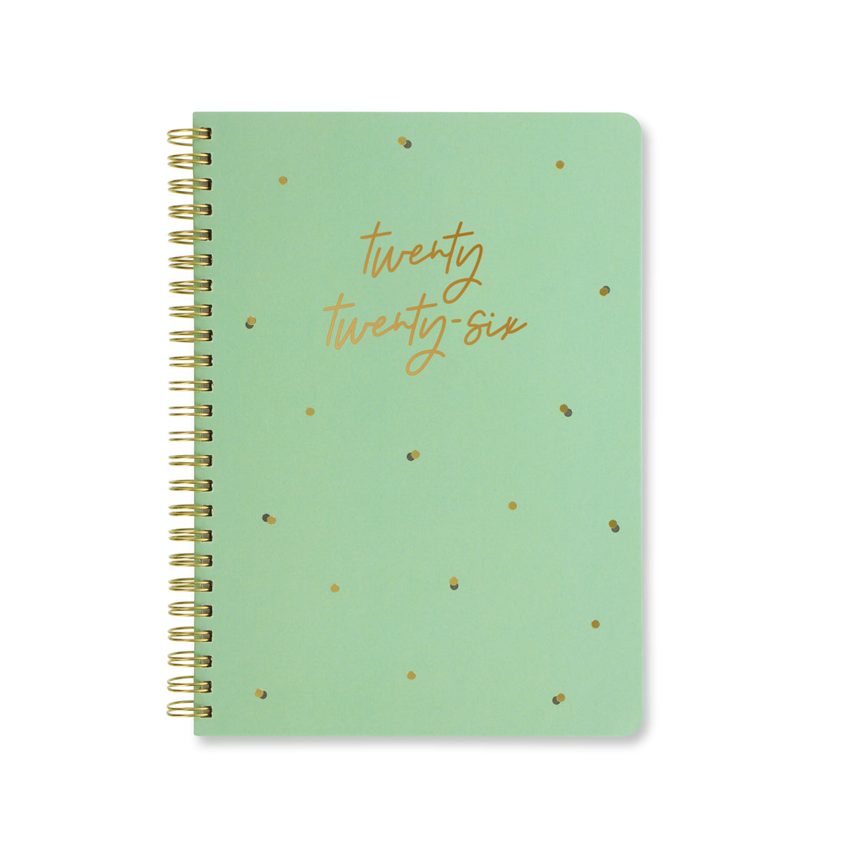 Letts of London Diary Celebrate A5 Week to View Mint 2026