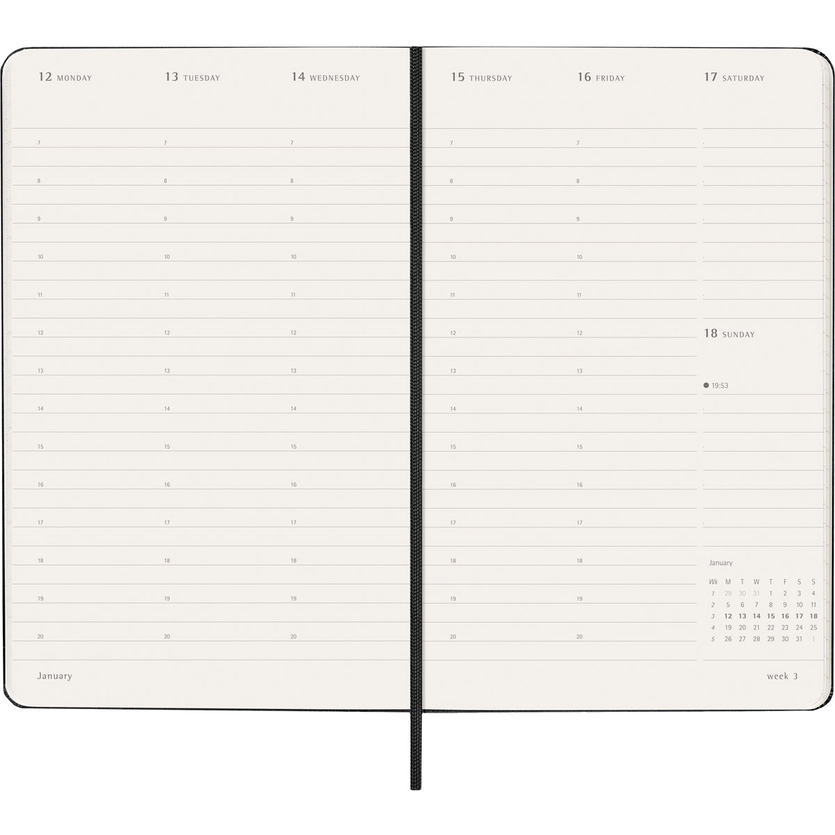 Moleskine Diary 12 Month Professional Weekly Vertical HC Large Black 2026