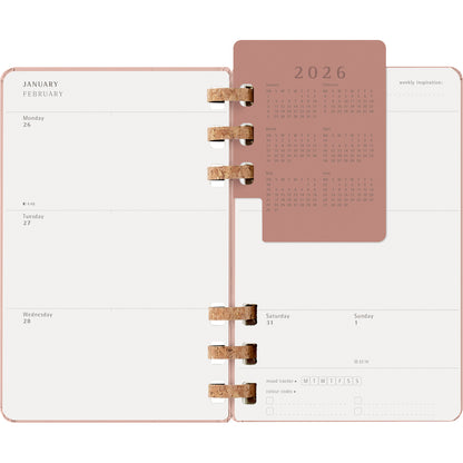 Moleskine 12 Month Spiral Planner HC Large Almond 2026