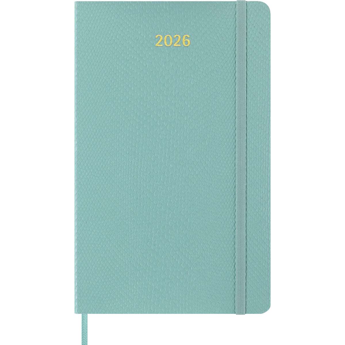 Moleskine Diary 12 Month Weekly + Notes HC Large Precious & Ethical Mamba Sage 2026