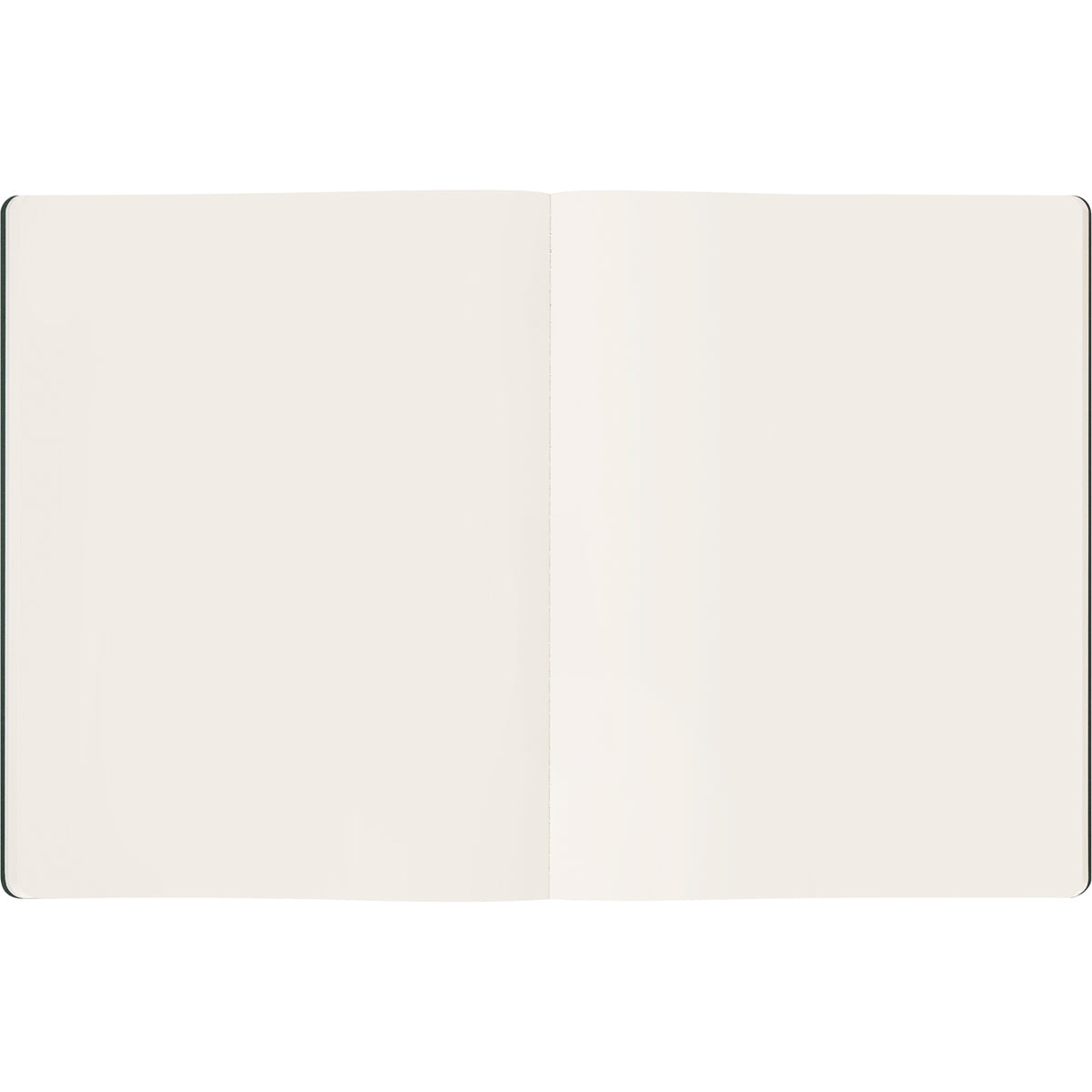 Moleskine Cahier Journal Student XXL Plain Myrtle Green