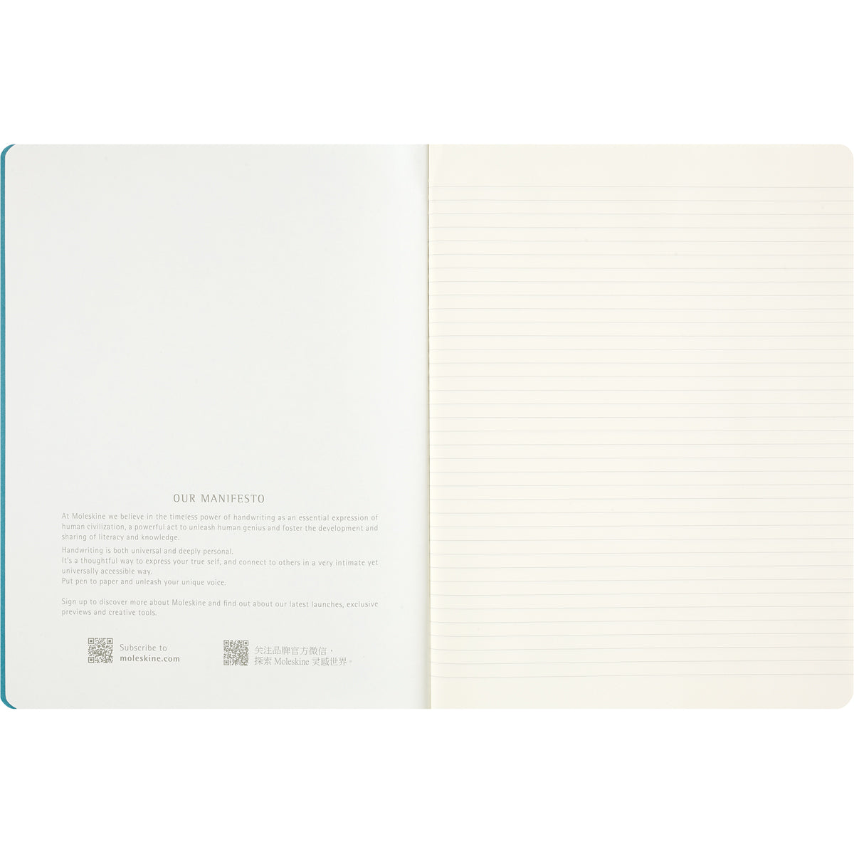 Moleskine LE Cahier Journals Peanuts XL Asst. Ruled  Pk 3