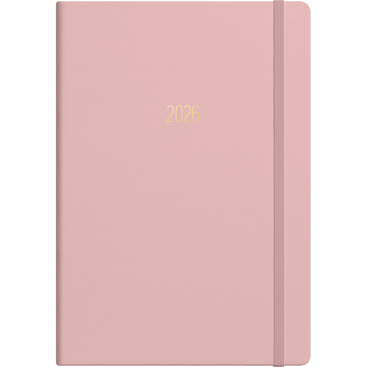 Collins Diary A51 Gratitude & Goals Even Year