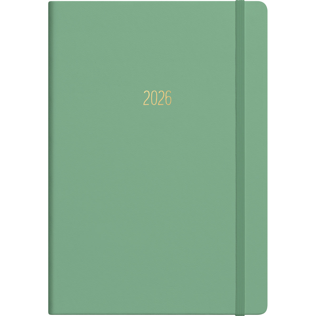 Collins Diary A51 Gratitude & Goals Even Year