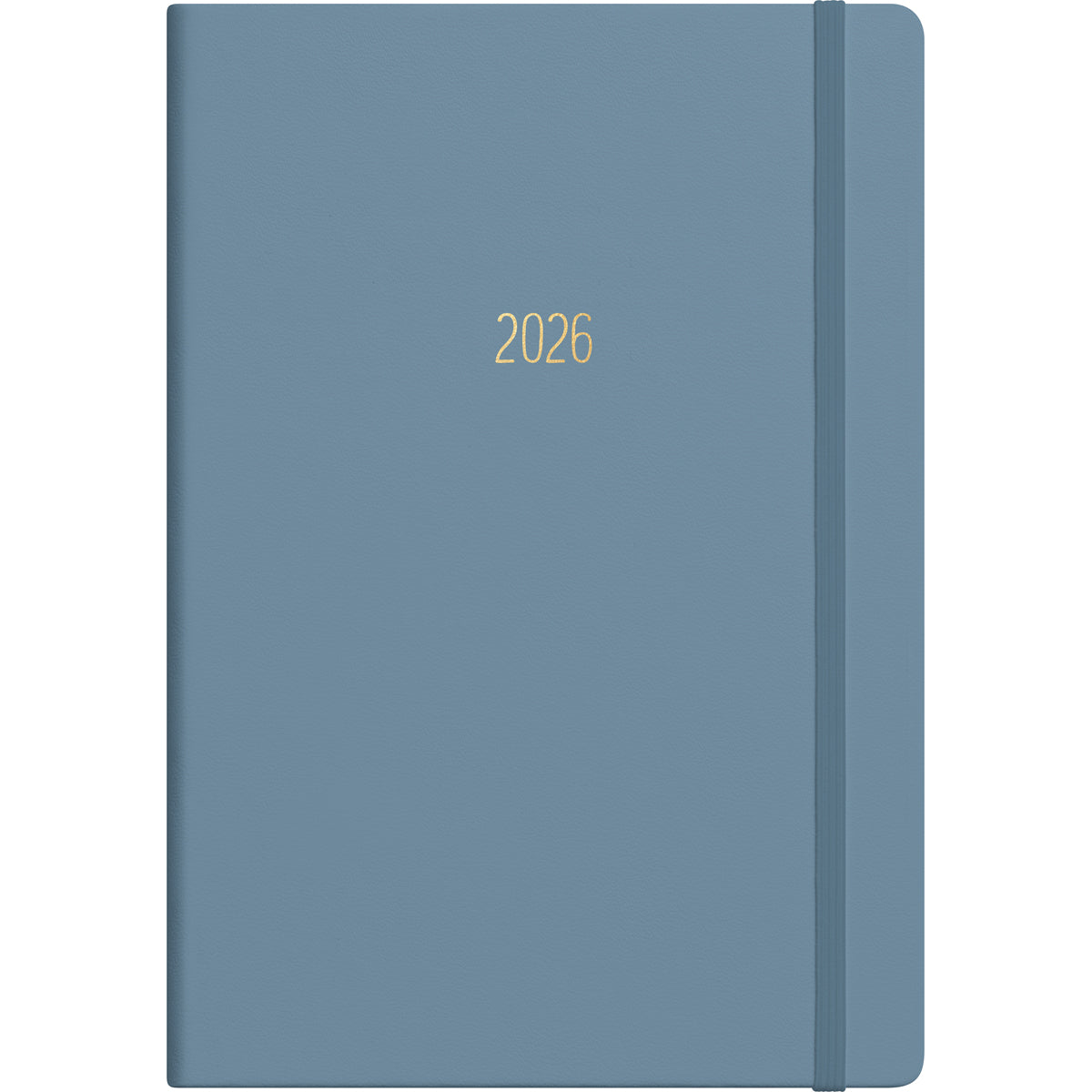Collins Diary A51 Gratitude & Goals Even Year