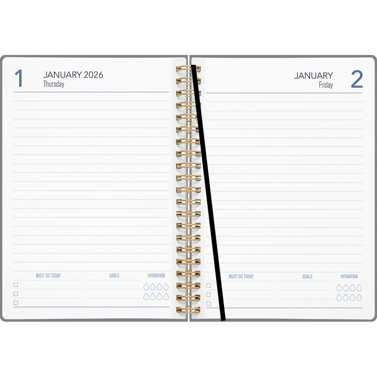 Collins Diary A51 Contemporary Art Even Year