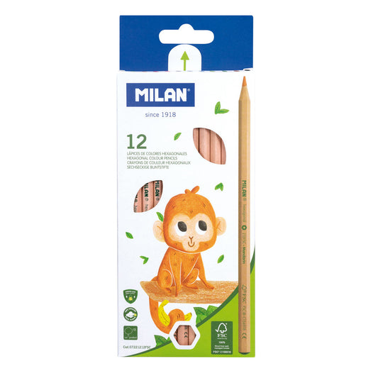 Milan Hexagonal Coloured Pencils Set of 12