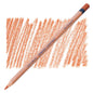 Derwent Lightfast Oil-Based Colouring Pencils