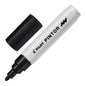 Pilot Pintor Markers Medium