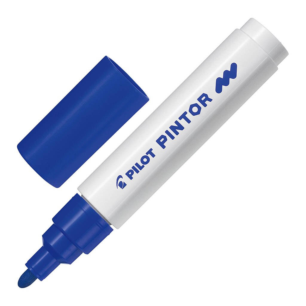 Pilot Pintor Markers Medium