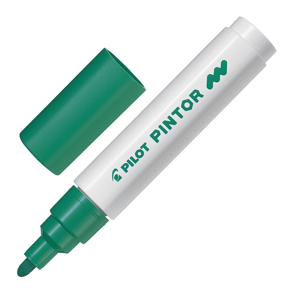 Pilot Pintor Markers Medium