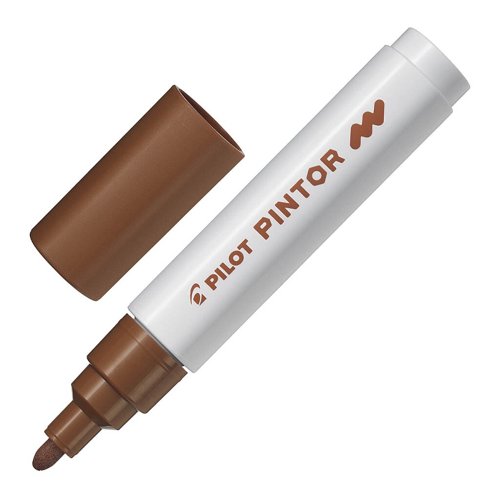 Pilot Pintor Markers Medium