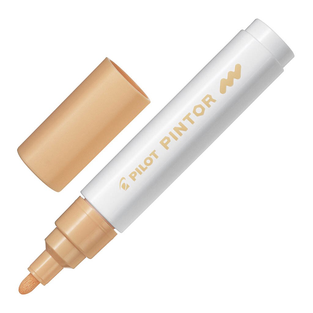 Pilot Pintor Markers Medium