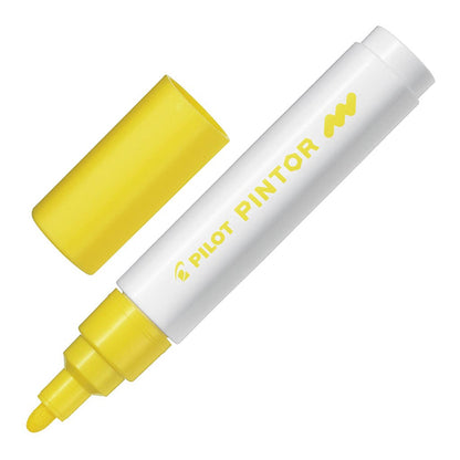 Pilot Pintor Markers Medium