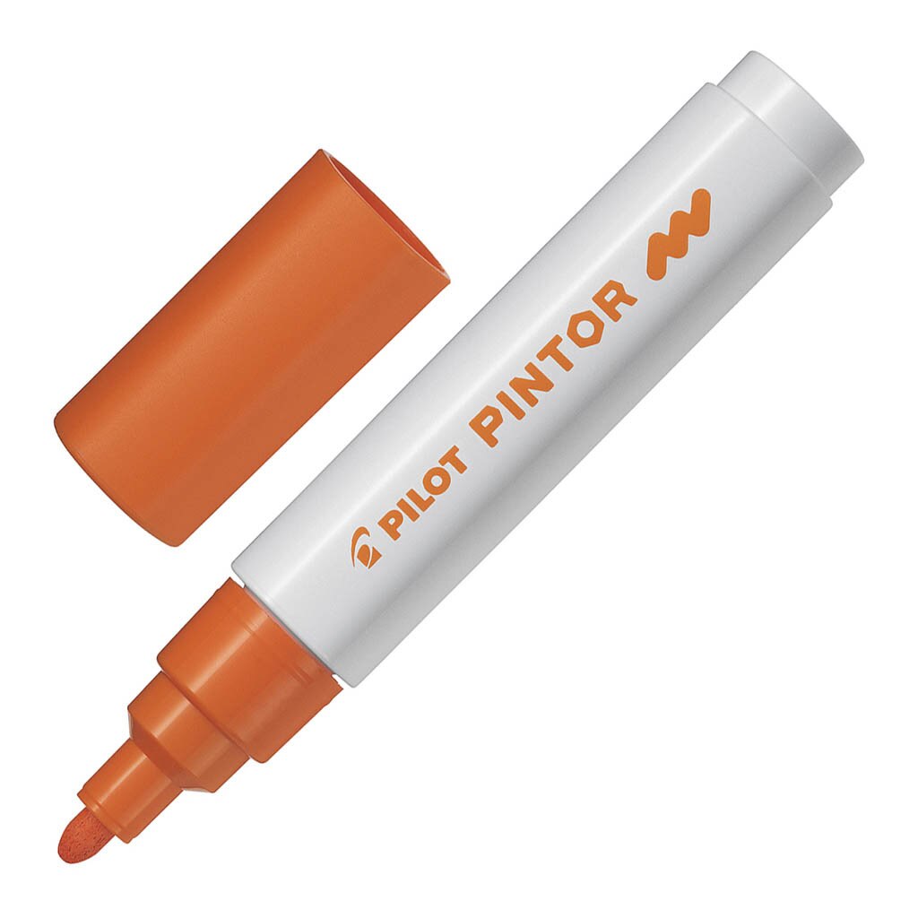 Pilot Pintor Markers Medium