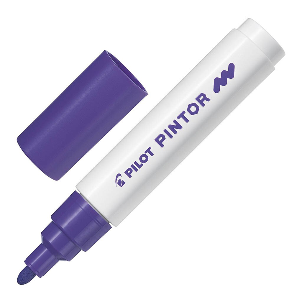 Pilot Pintor Markers Medium