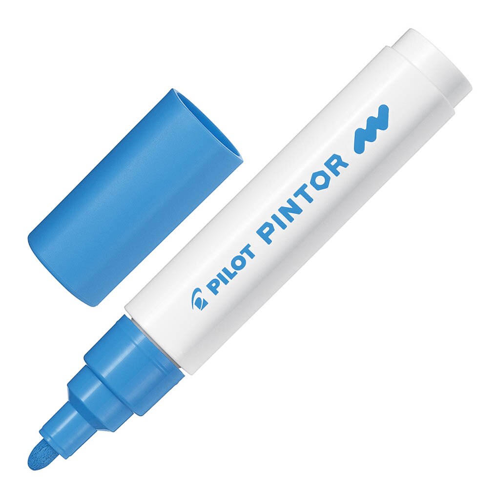 Pilot Pintor Markers Medium
