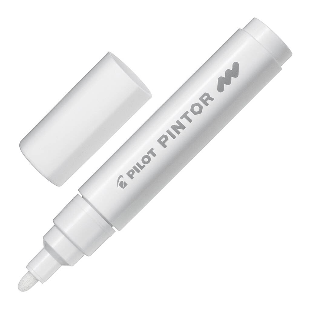 Pilot Pintor Markers Medium