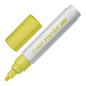 Pilot Pintor Markers Medium