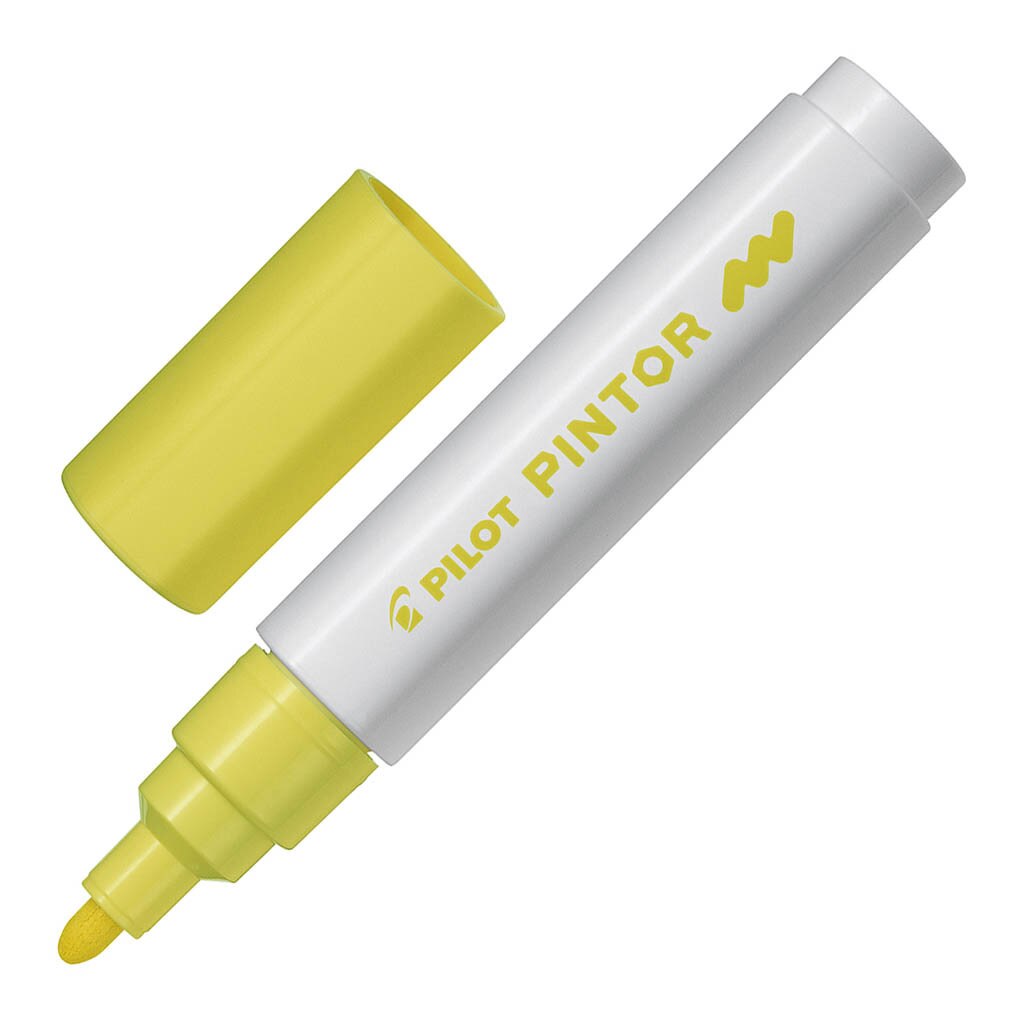 Pilot Pintor Markers Medium
