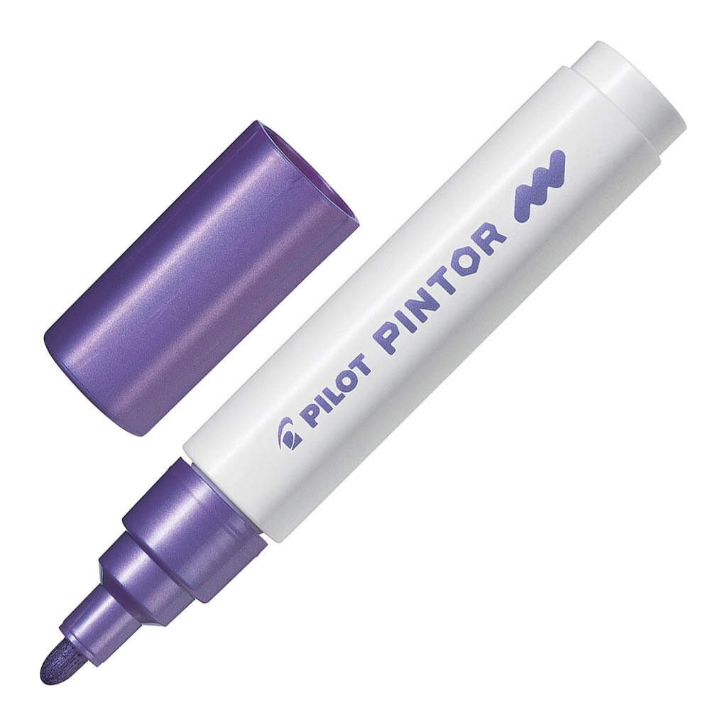 Pilot Pintor Markers Medium