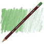 Derwent Pastel Colouring Pencils