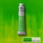 Winsor & Newton Winton Oil Paints 200ml
