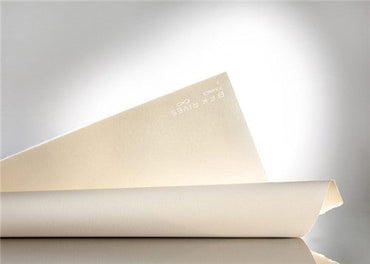 Arches BFK Rives 56X76CM White 250gsm Cold Pressed Paper Pack Of 10 Sheets
