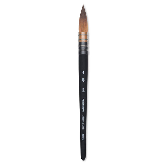 Princeton AquaElite 4850 Size 6 Quill Brush