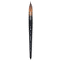 Princeton AquaElite 4850 Size 6 Quill Brush