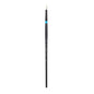 Princeton Aspen Synthetic Long Handle Round Brushes