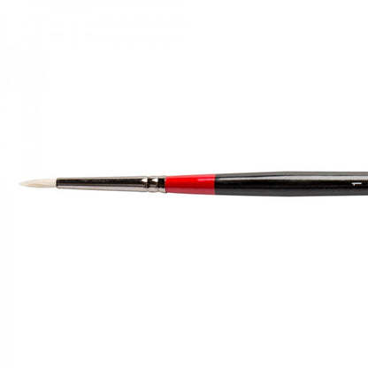 Daler Rowney Georgian S24 Round Brushes